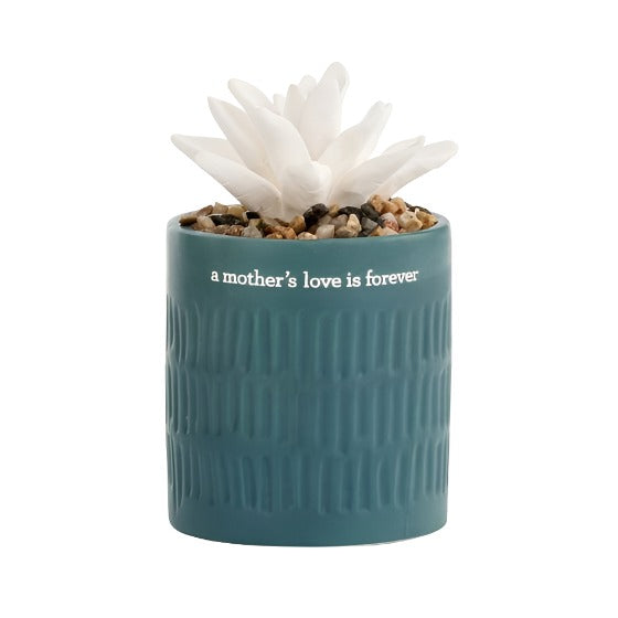 Ceramic Succulent Oil Diffuser - A Mother’s Love - DMTIFY Store