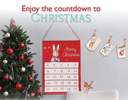 Peter Rabbit Advent Calendar - A Family Keepsake for a Magical Christmas Countdown - Dmtify Store