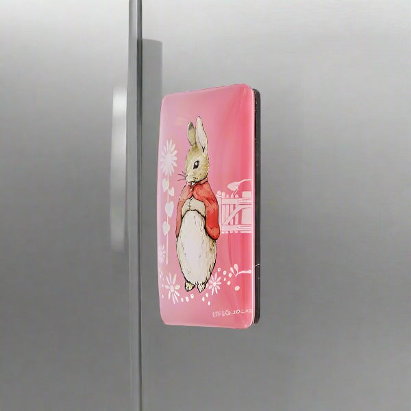 Rectangle Cute Fridge Magnet for Refrigerator, Whiteboard, Home Office, Home Kitchen, Magnetic Sticker, Decoration