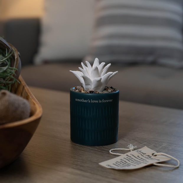 Ceramic Succulent Oil Diffuser – Tranquil Home Décor with Heartfelt Inscription 'A Mother's Love is Forever,' Perfect Gift for Any Occasion, Green and Boxed