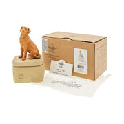 Dog Lover's Keepsake Box - Always with Me Collection - DMTIFY Store