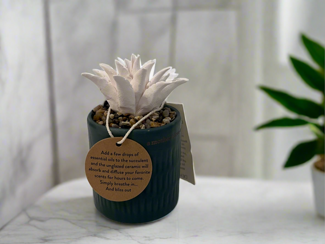 ceramic succulent diffuser young living Ceramic Succulent Oil Diffuser – Tranquil Home Décor with Heartfelt  Inscription 'A Mother's Love is Forever,' Perfect Gift for Any Occasion