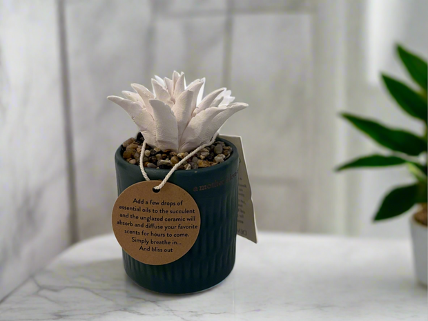 Ceramic Succulent Oil Diffuser – Tranquil Home Décor with Heartfelt Inscription 'A Mother's Love is Forever,' Perfect Gift for Any Occasion, Green and Boxed