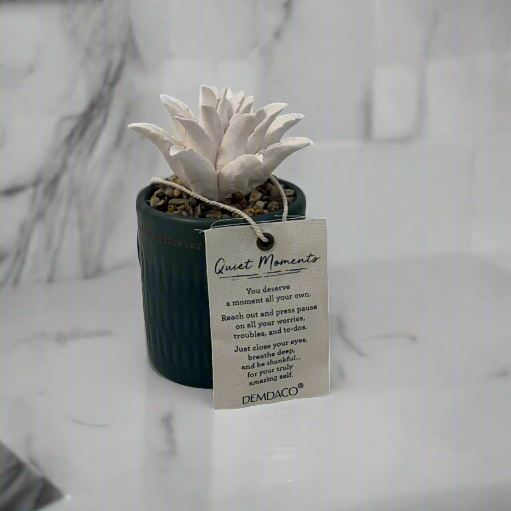 demdaco succulent oil diffuser Ceramic Succulent Oil Diffuser – Tranquil Home Décor with Heartfelt Inscription 'A Mother's Love is Forever,' Perfect Gift for Any Occasion