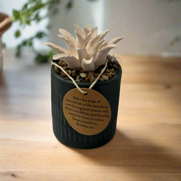 Ceramic Succulent Oil Diffuser – Tranquil Home Décor with Heartfelt Inscription 'A Mother's Love is Forever,' Perfect Gift for Any Occasion, Green and Boxed