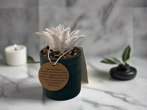 Ceramic Succulent Oil Diffuser – Tranquil Home Décor with Heartfelt Inscription 'A Mother's Love is Forever,' Perfect Gift for Any Occasion, Green and Boxed